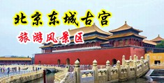 黑人的鳮巴又大又爽我高潮了视频中国北京-东城古宫旅游风景区